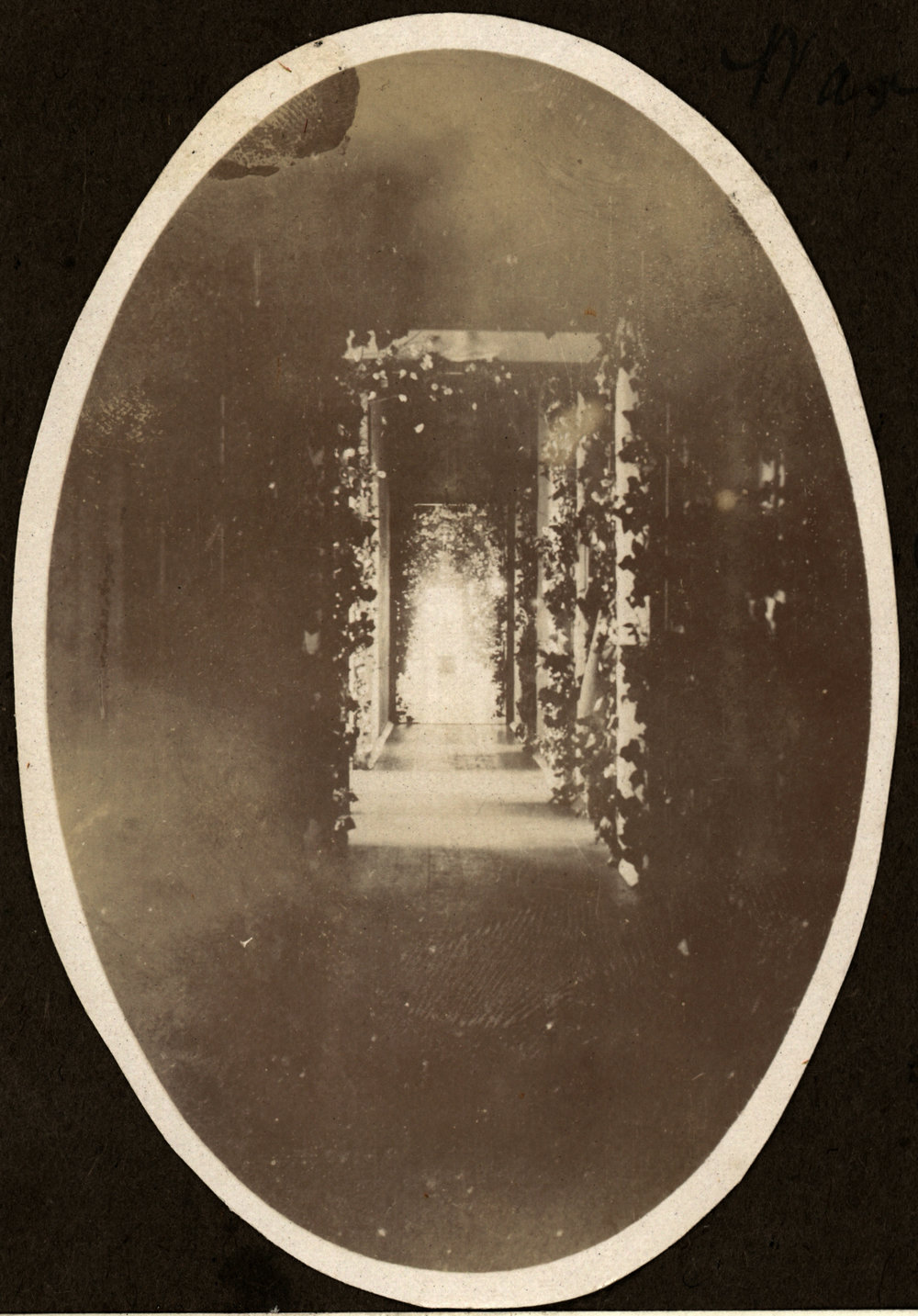 Photo from page 05 of album WWI Photograph Album- Egypt and Britain.