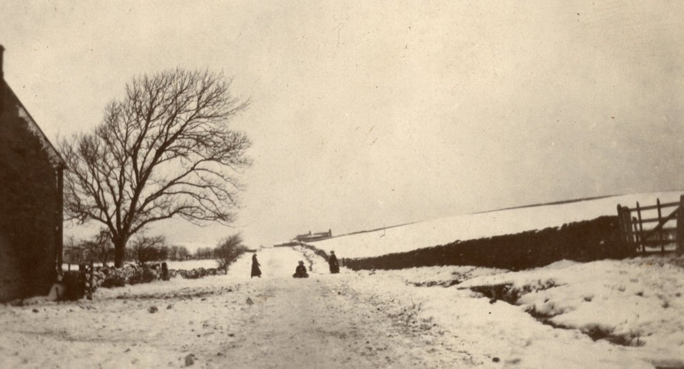 Photo from page 07 of album WWI Photograph Album- Egypt and Britain.
