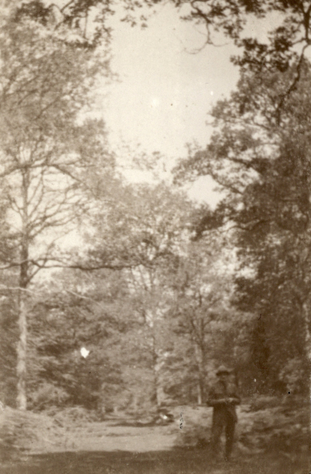 Photo from page 10 of album WWI Photograph Album- Egypt and Britain.