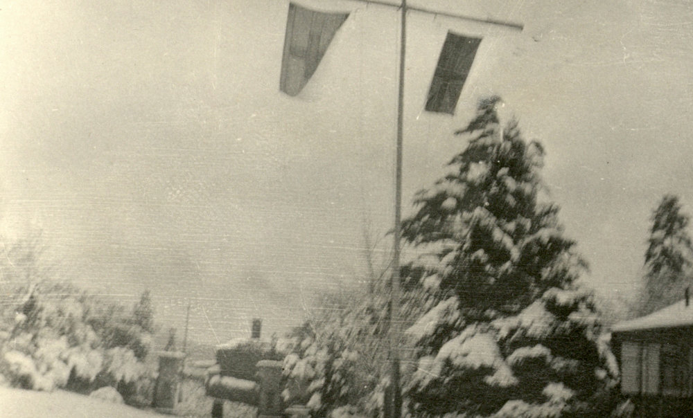 Photo from page 15 of album WWI Photograph Album- Egypt and Britain.