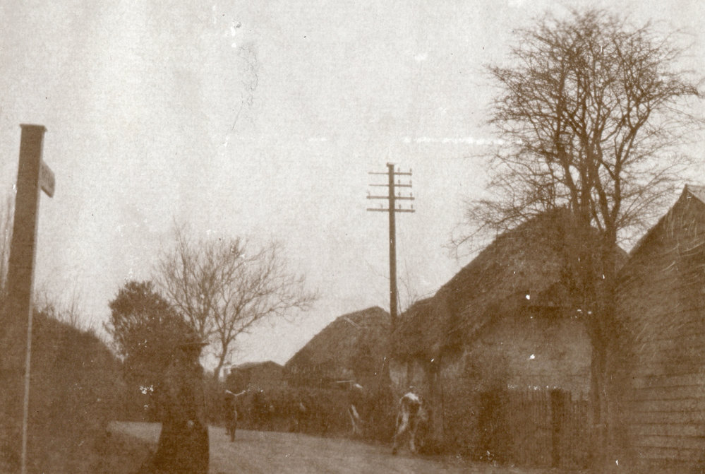 Photo from page 15 of album WWI Photograph Album- Egypt and Britain.