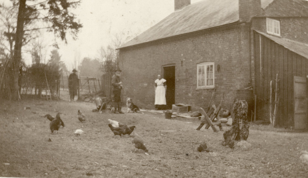 Photo from page 17 of album WWI Photograph Album- Egypt and Britain.