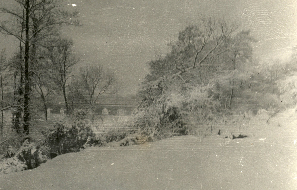 Photo from page 23 of album WWI Photograph Album- Egypt and Britain.