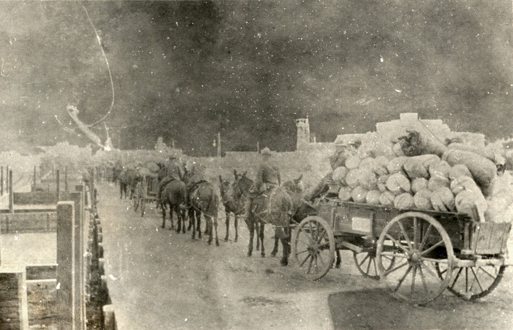 Photo from page 23 of album WWI Photograph Album- Egypt and Britain.