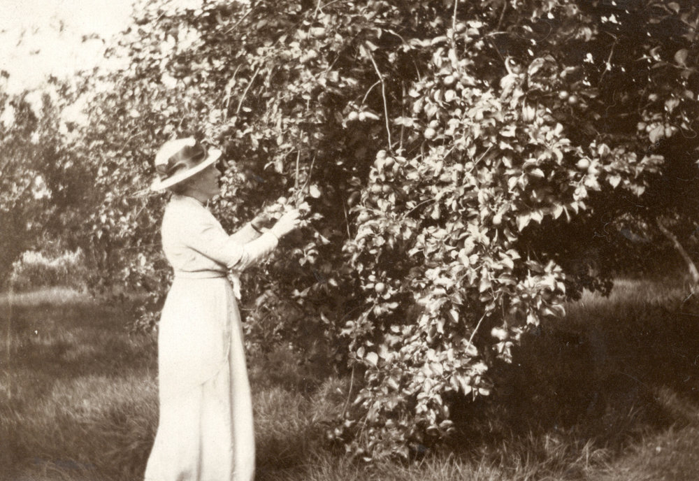 Photo from page 30 of album WWI Photograph Album- Egypt and Britain.