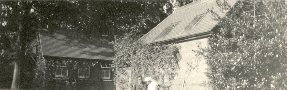 Photo from page 34 of album WWI Photograph Album- Egypt and Britain.