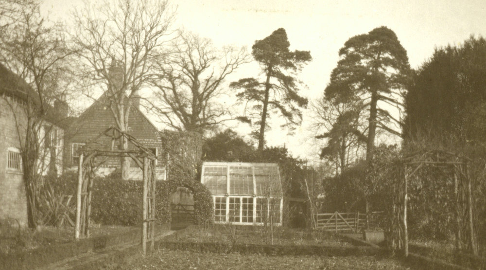 Photo from page 35 of album WWI Photograph Album- Egypt and Britain.