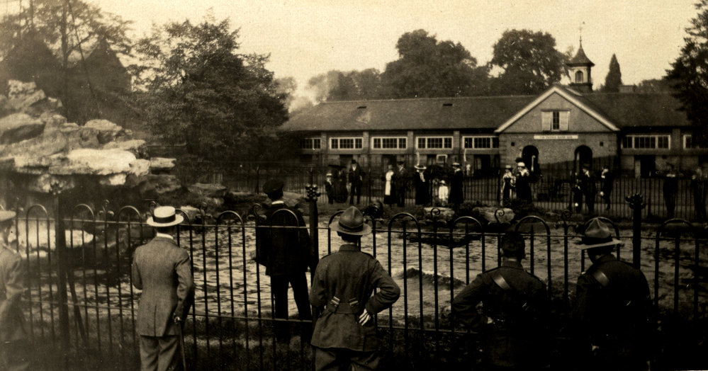 Photo from page 36 of album WWI Photograph Album- Egypt and Britain.