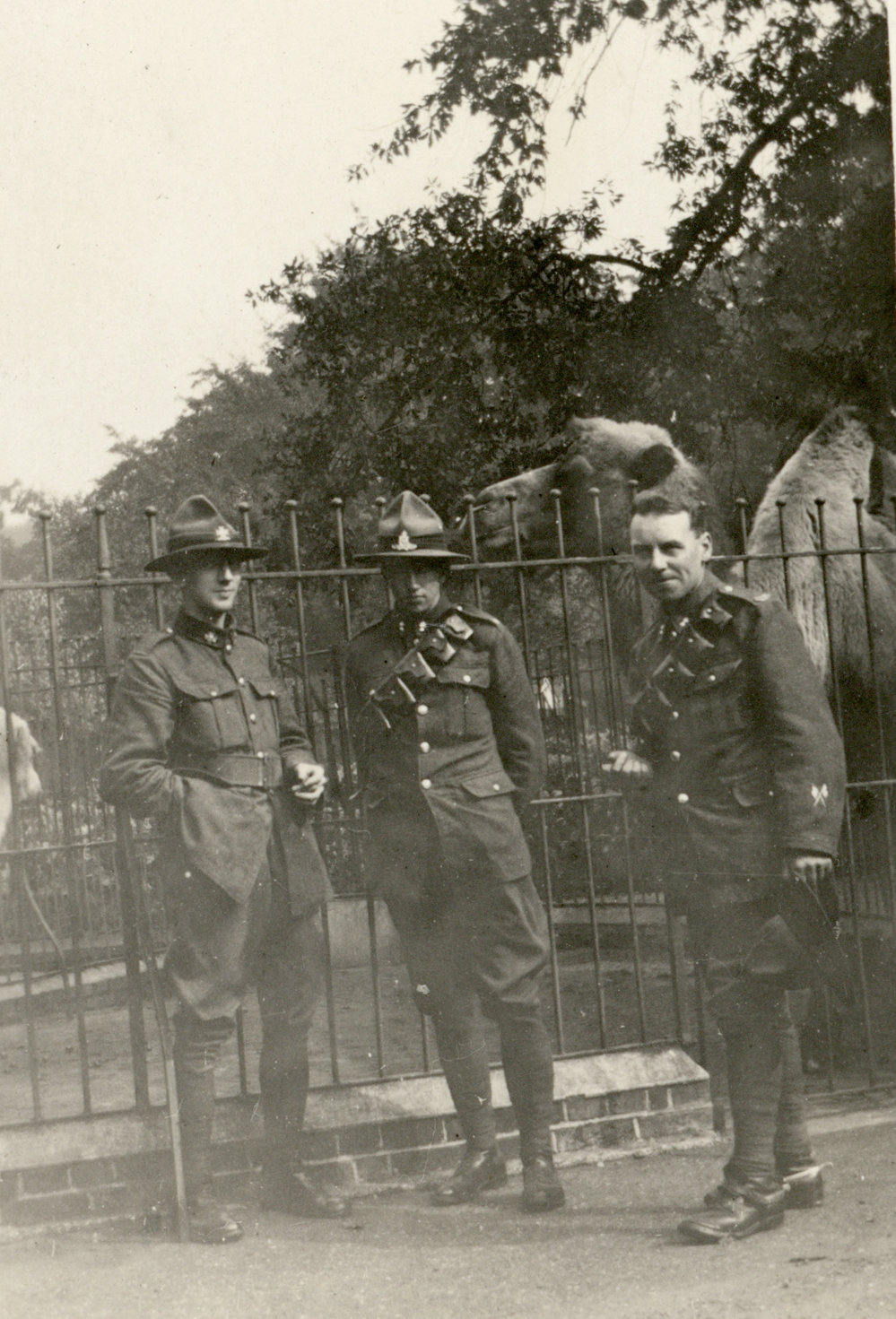 Photo from page 37 of album WWI Photograph Album- Egypt and Britain.