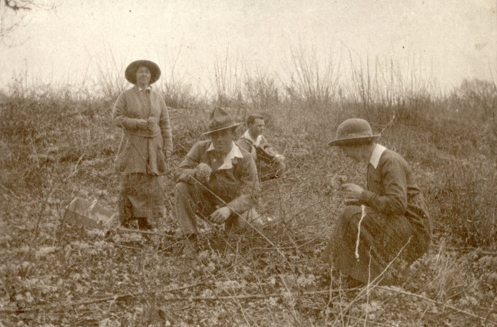 Photo from page 38 of album WWI Photograph Album- Egypt and Britain.
