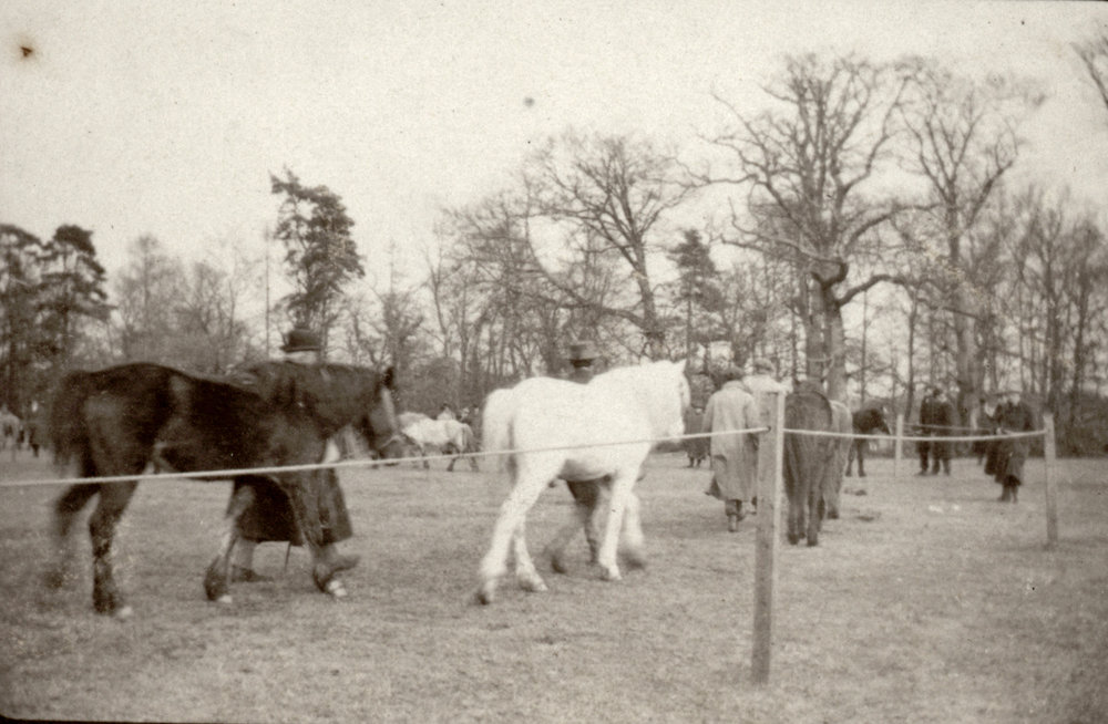 Photo from page 39 of album WWI Photograph Album- Egypt and Britain.