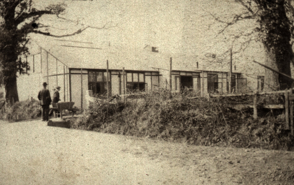 Photo from page 41 of album WWI Photograph Album- Egypt and Britain.