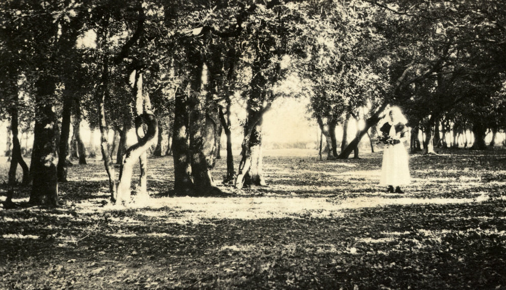 Photo from page 42 of album WWI Photograph Album- Egypt and Britain.