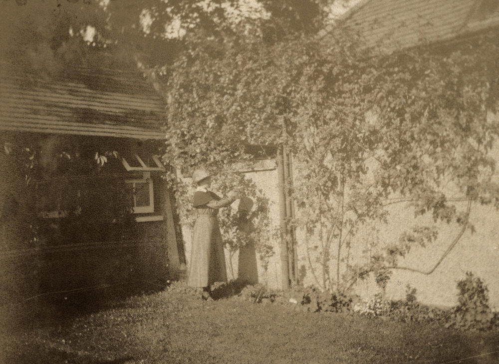 Photo from page 45 of album WWI Photograph Album- Egypt and Britain.