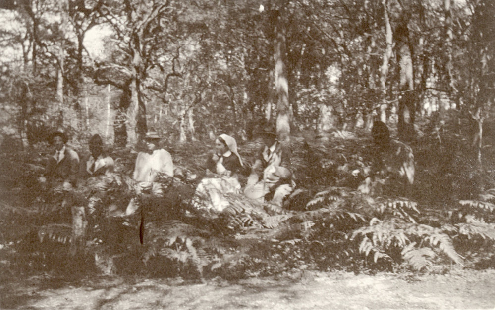 Photo from page 58 of album WWI Photograph Album- Egypt and Britain.