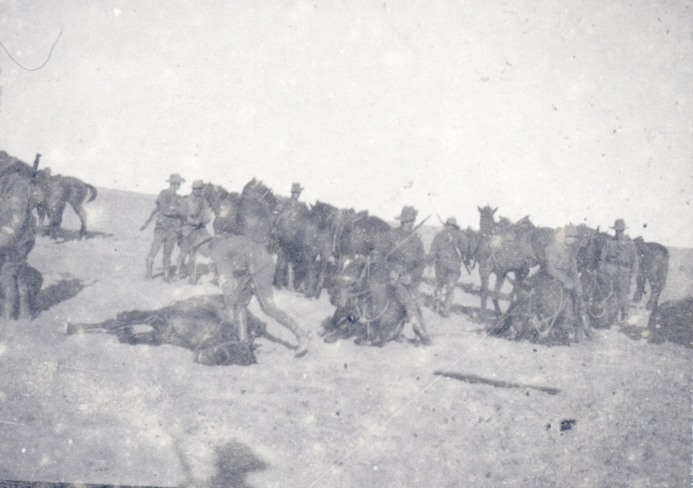 Photo from page 04 of album WWI Photograph Album- Egypt and Britain.
