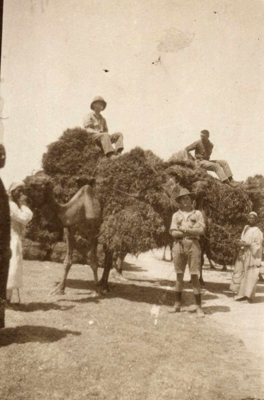 Photo from page 04 of album WWI Photograph Album- Egypt and Britain.