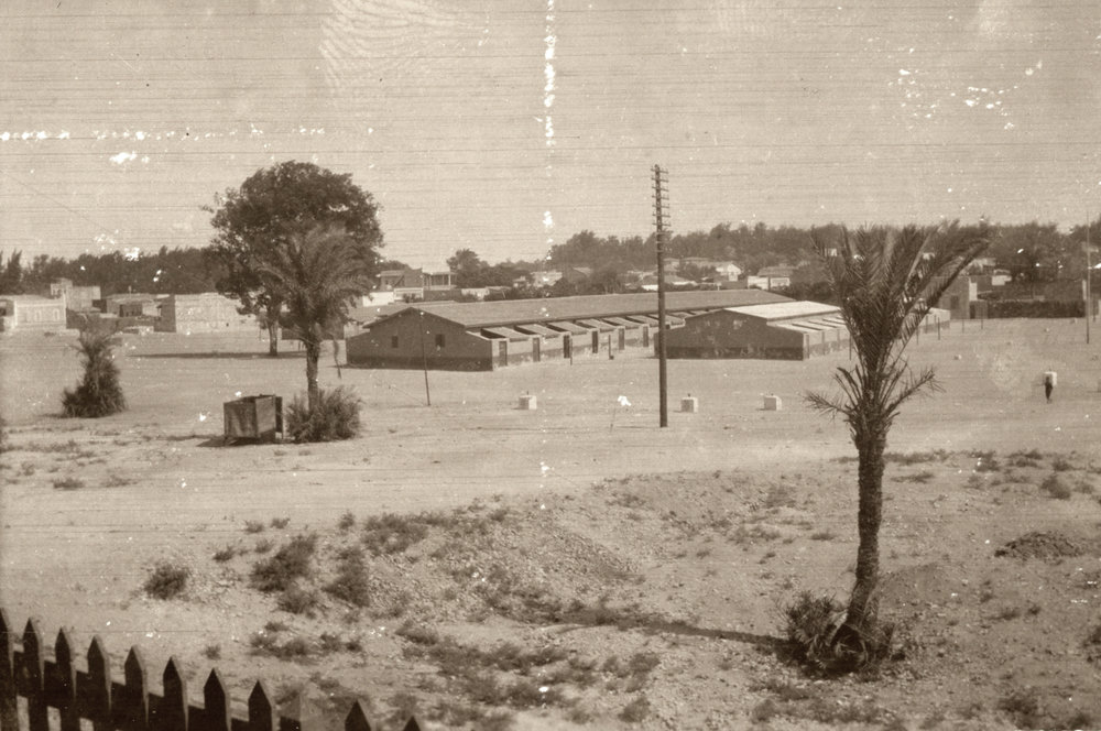 Photo from page 11 of album WWI Photograph Album- Egypt and Britain.