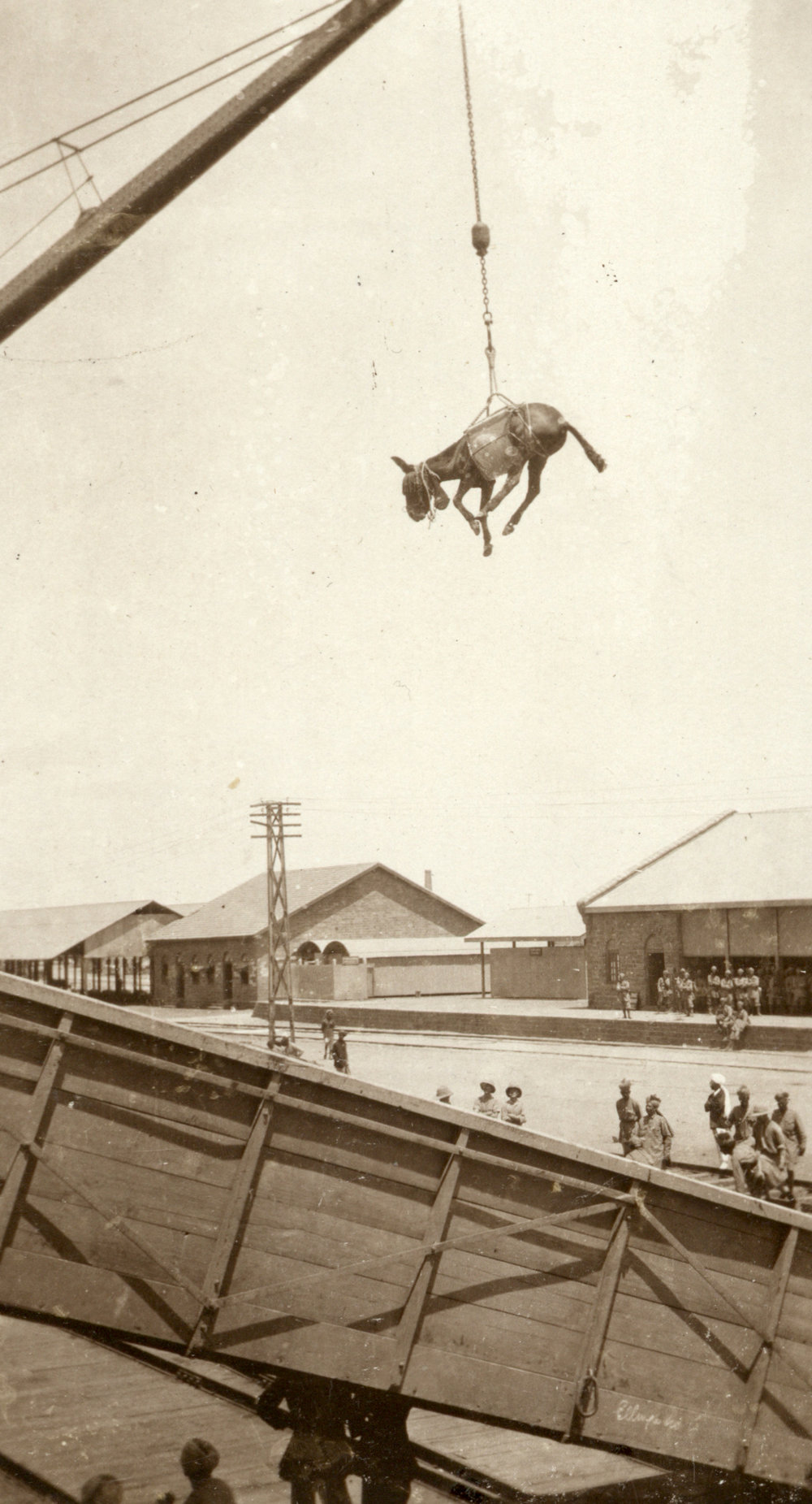 Photo from page 24 of album WWI Photograph Album- Egypt and Britain.
