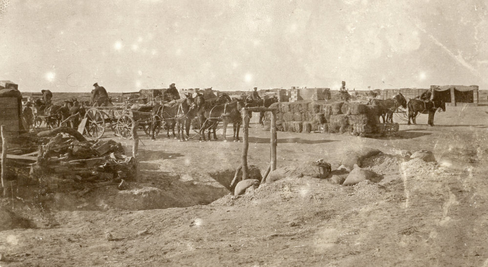 Photo from page 44 of album WWI Photograph Album- Egypt and Britain.