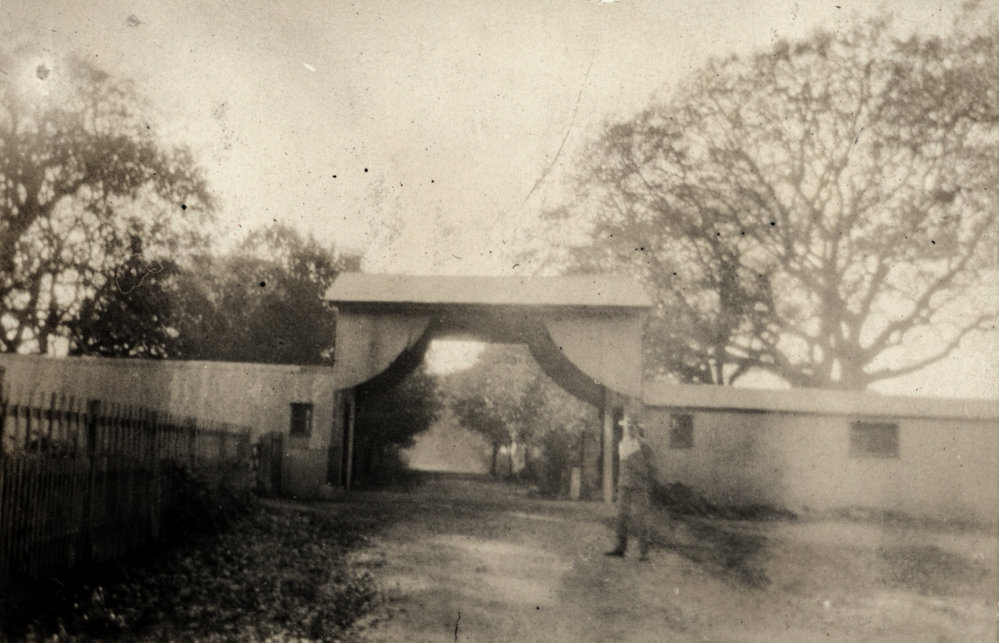 Photo from page 45 of album WWI Photograph Album- Egypt and Britain.