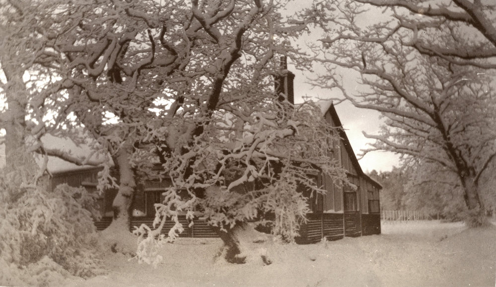 Photo from page 47 of album WWI Photograph Album- Egypt and Britain.