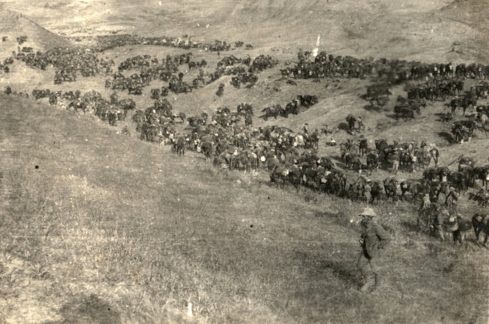 Photo from page 10 of album WWI Photograph Albums- Sinai &amp; Palestine.