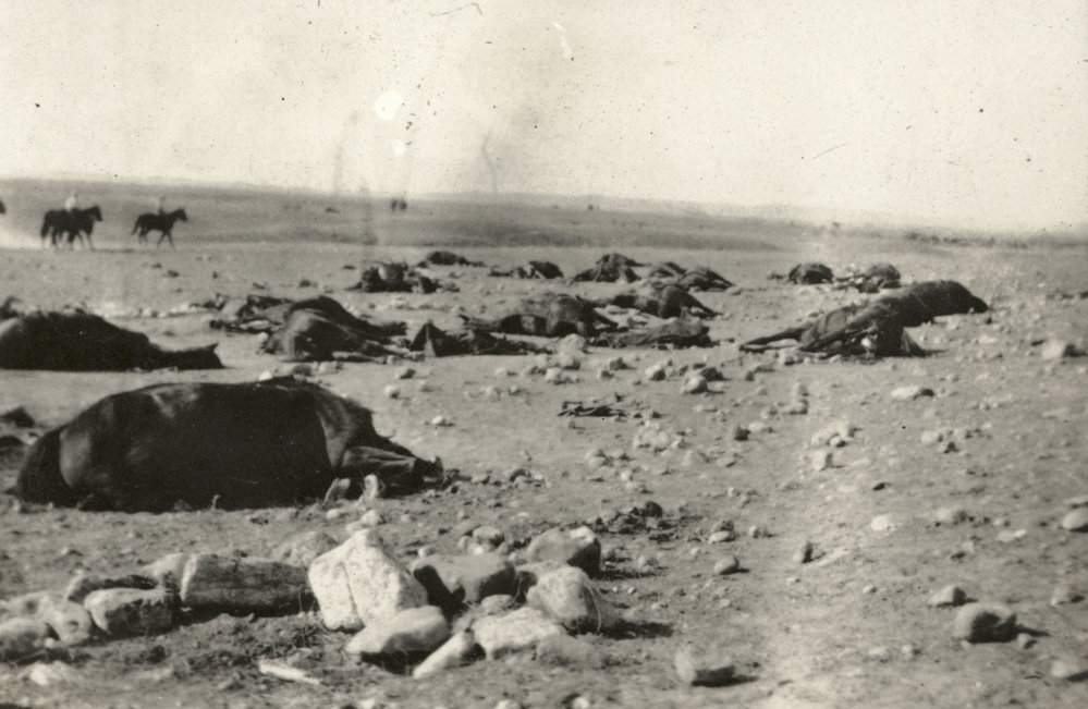 Photo from page 13 of album WWI Photograph Albums- Sinai &amp; Palestine.