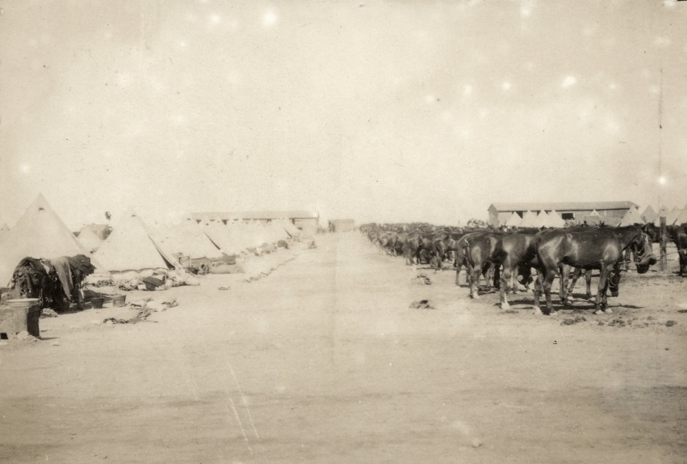 Photo from page 03 of album WWI Photograph Album- Sinai and Palestine.