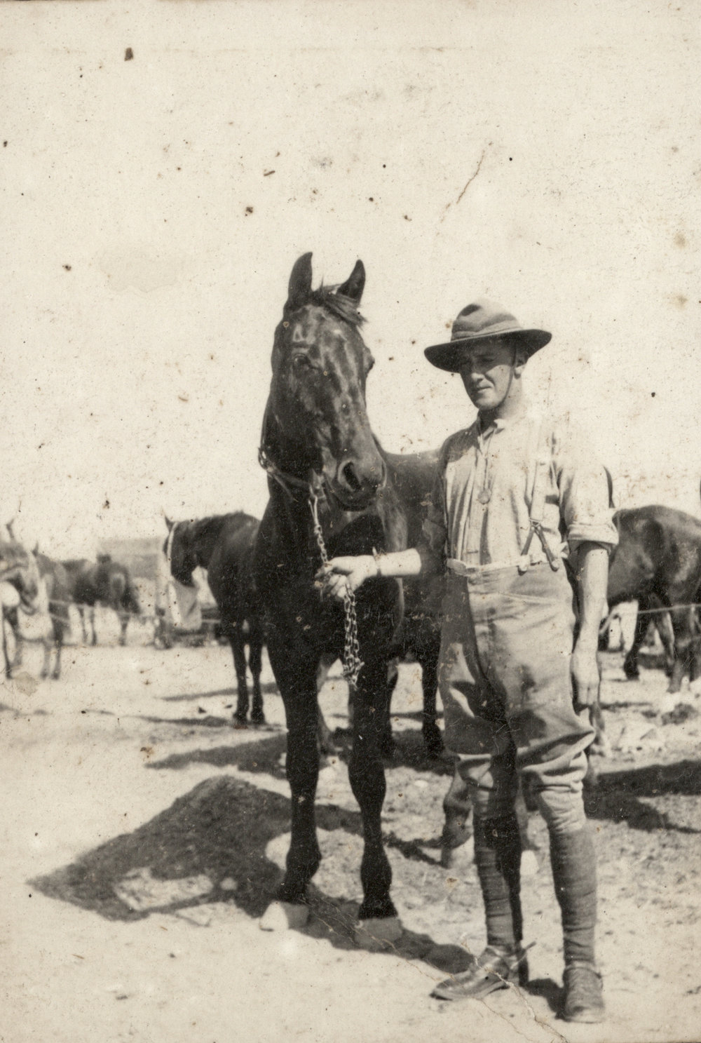 Photo from page 04 of album WWI Photograph Album- Sinai and Palestine.