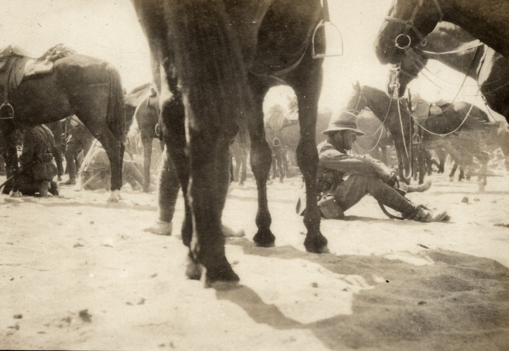 Photo from page 05 of album WWI Photograph Album- Sinai and Palestine.