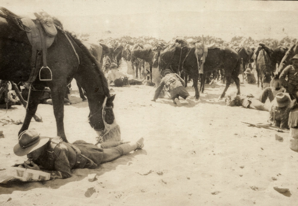 Photo from page 05 of album WWI Photograph Album- Sinai and Palestine.