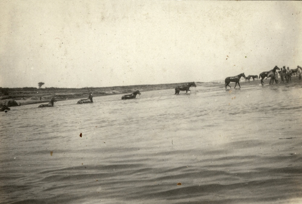 Photo from page 11 of album WWI Photograph Album- Sinai and Palestine.