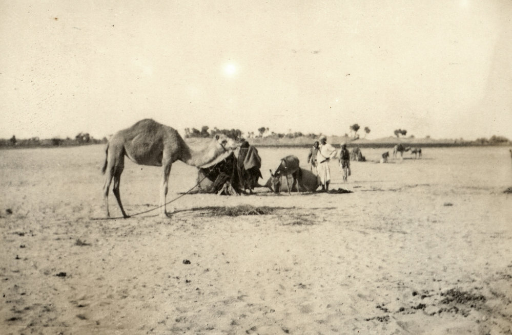 Photo from page 11 of album WWI Photograph Album- Sinai and Palestine.