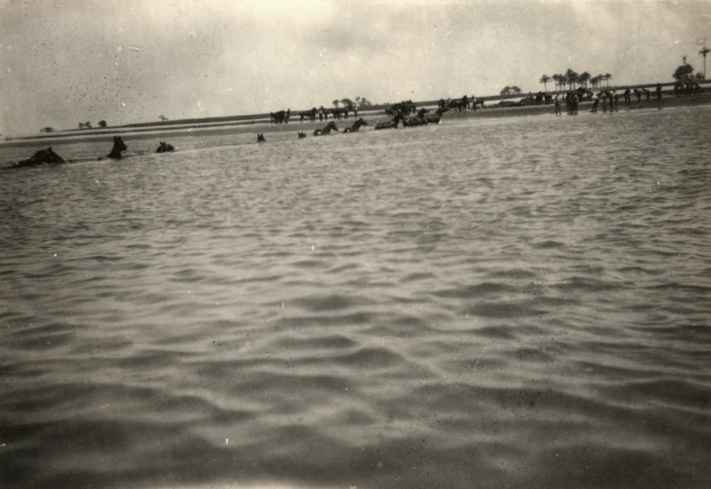 Photo from page 13 of album WWI Photograph Album- Sinai and Palestine.