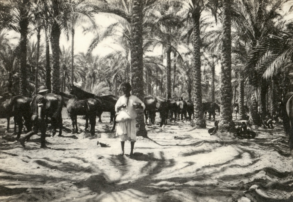 Photo from page 14 of album WWI Photograph Album- Sinai and Palestine.