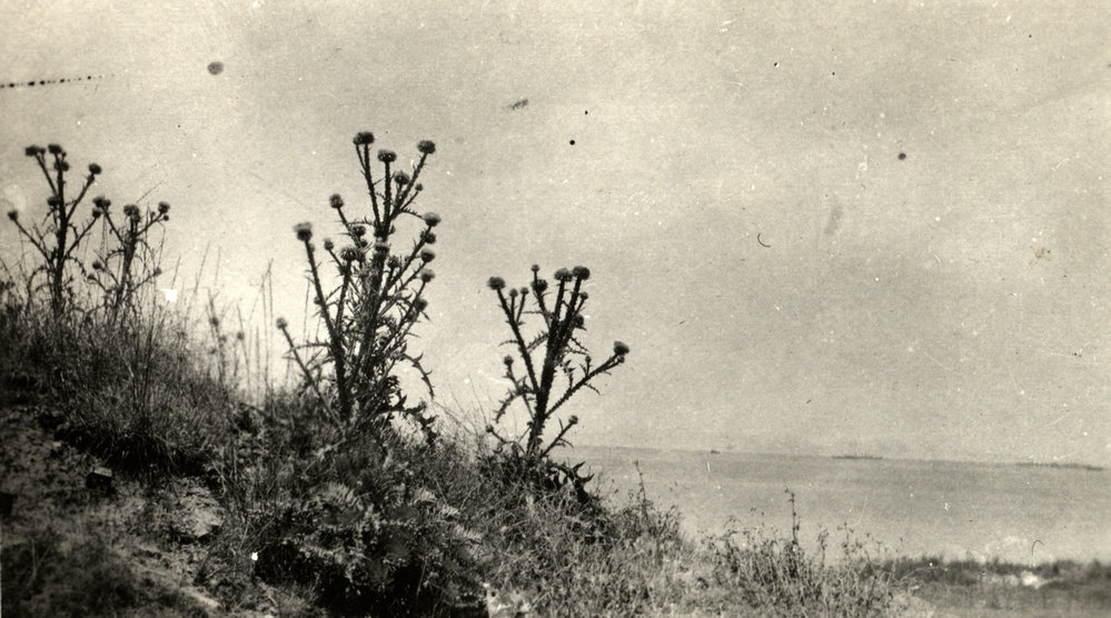 Photo from page 07 of album WWI Photograph Album- Gallipoli.