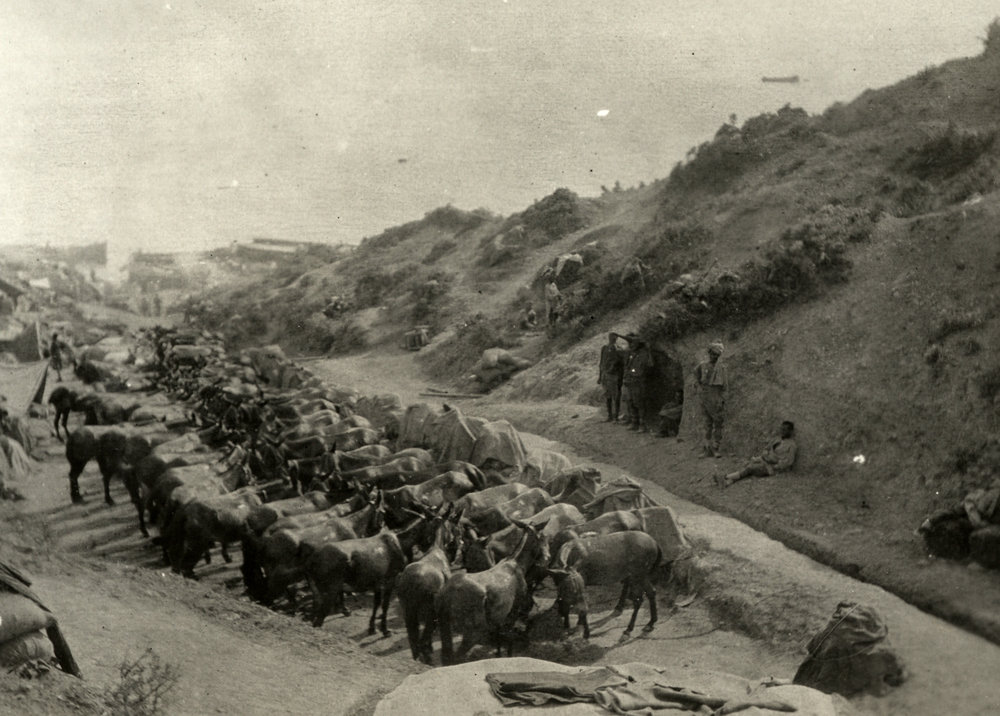 Photo from page 17 of album WWI Photograph Album- Gallipoli.