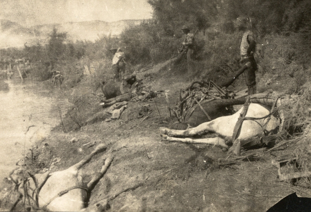 Photo from page 05 of album WWI Photograph Album- Egypt, Gallipoli &amp; Sinai and Palestine.
