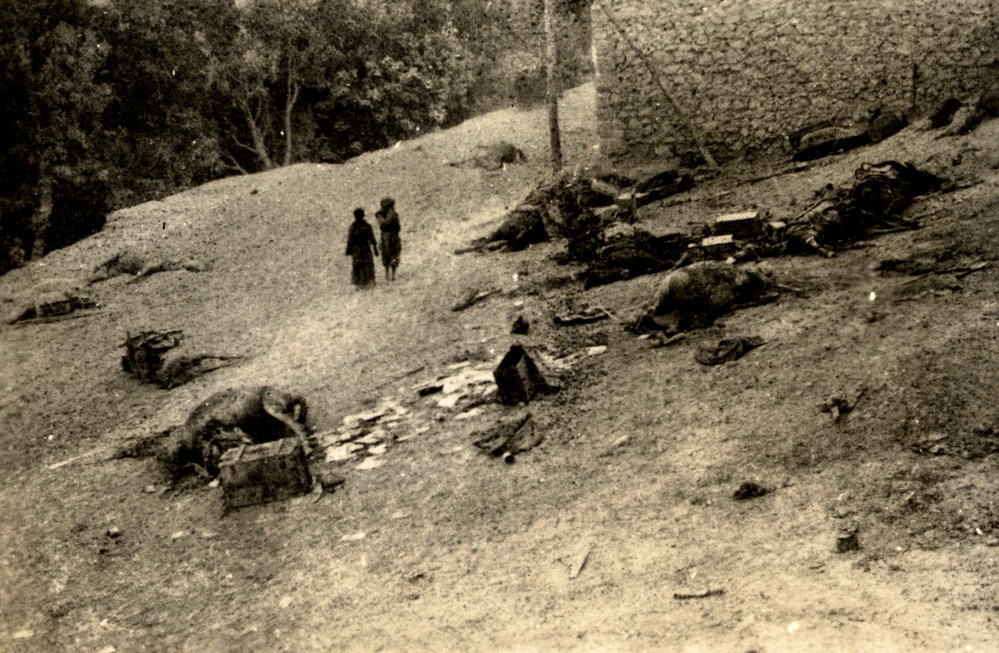 Photo from page 06 of album WWI Photograph Album- Egypt, Gallipoli &amp; Sinai and Palestine.