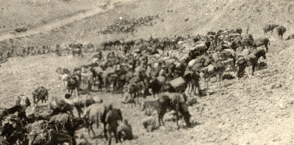 Photo from page 08 of album WWI Photograph Album- Egypt, Gallipoli &amp; Sinai and Palestine.
