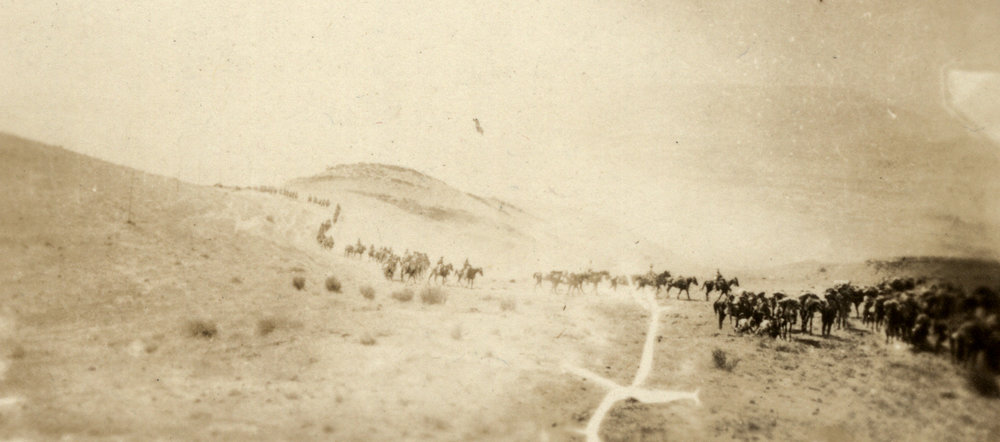 Photo from page 09 of album WWI Photograph Album- Egypt, Gallipoli &amp; Sinai and Palestine.