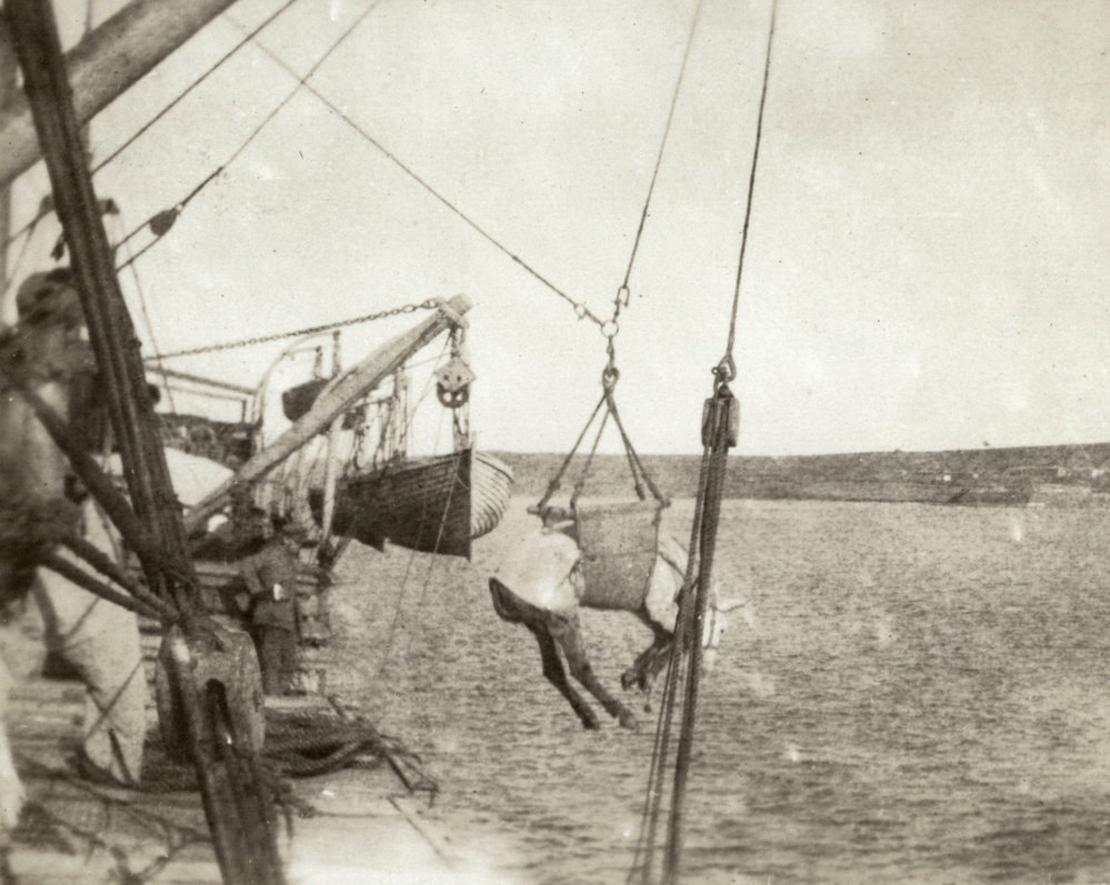 Photo from page 10 of album WWI Photograph Album- Egypt, Gallipoli &amp; Sinai and Palestine.