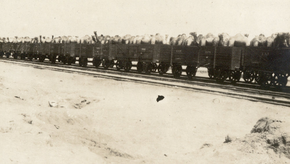 Photo from page 07 of album WWI Photograph Album- Egypt, &amp; Sinai and Palestine.