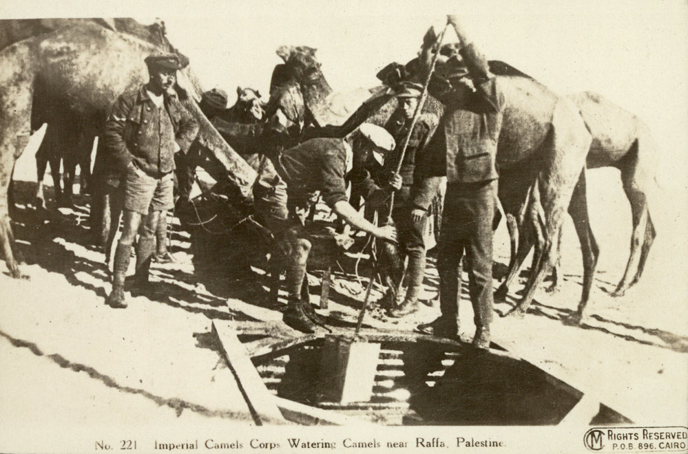 Photo from page 07 of album WWI Photograph Album- Egypt, &amp; Sinai and Palestine.