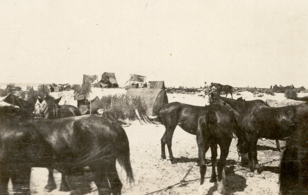 Photo from page 09 of album WWI Photograph Album- Featherston (NZ), Egypt, Gallipoli &amp; Sinai and Palestine.