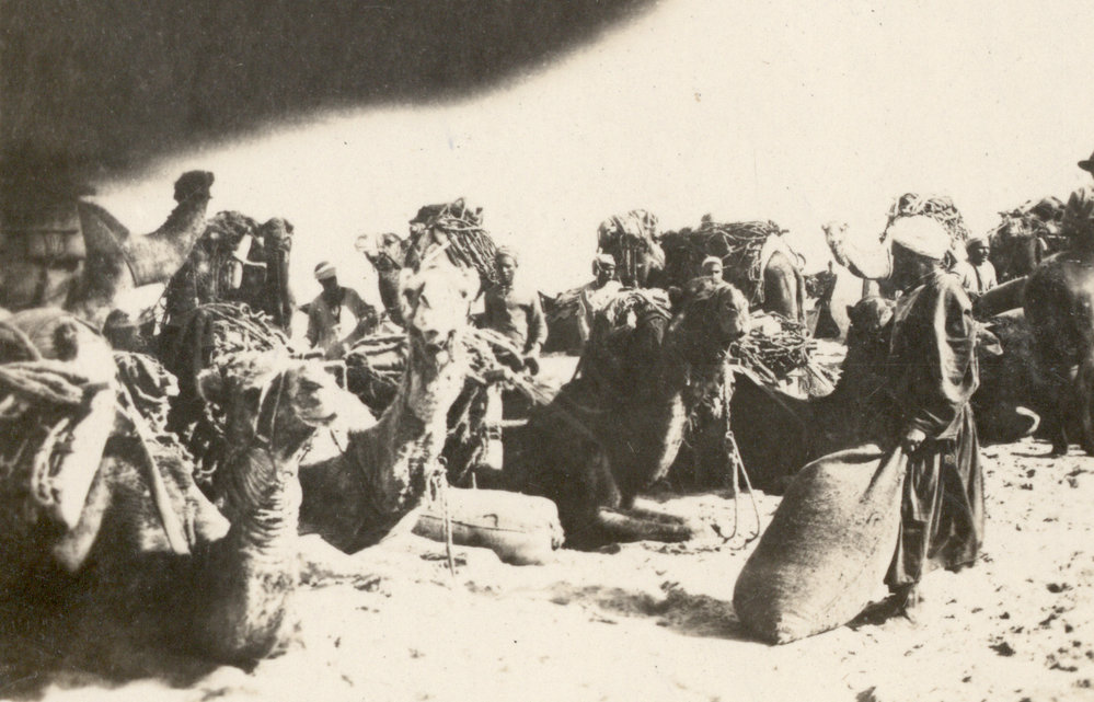 Photo from page 10 of album WWI Photograph Album- Featherston (NZ), Egypt, Gallipoli &amp; Sinai and Palestine.