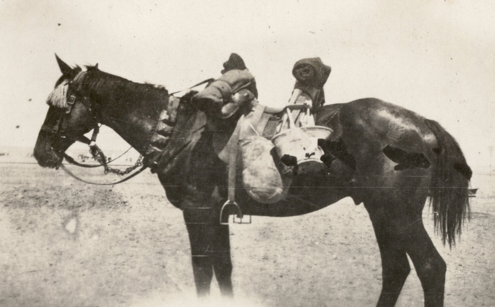Photo from page 10 of album WWI Photograph Album- Featherston (NZ), Egypt, Gallipoli &amp; Sinai and Palestine.