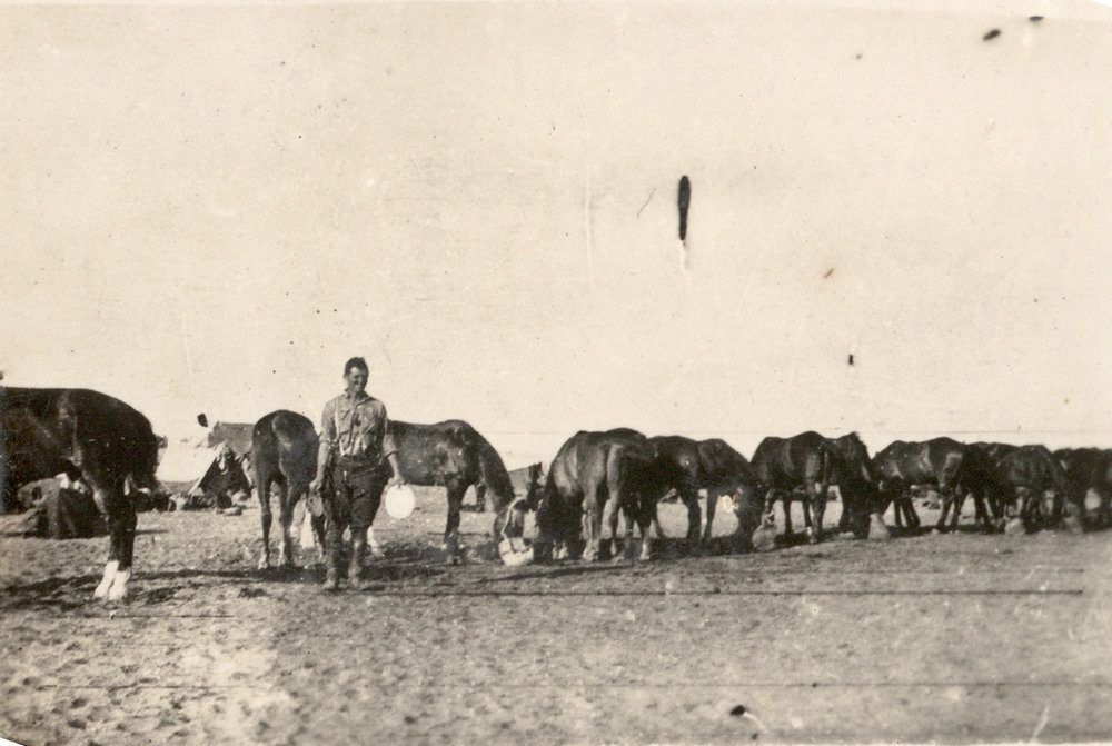 Photo from page 10 of album WWI Photograph Album- Featherston (NZ), Egypt, Gallipoli &amp; Sinai and Palestine.