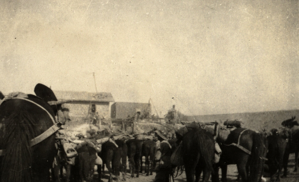 Photo from page 10 of album WWI Photograph Album- Featherston (NZ), Egypt, Gallipoli &amp; Sinai and Palestine.